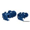 Запчасти для насоса EBARA EVMSG10 9N6 HQGQ1VG V/5,5